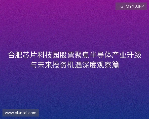 合肥芯片科技园股票聚焦半导体产业升级与未来投资机遇深度观察篇